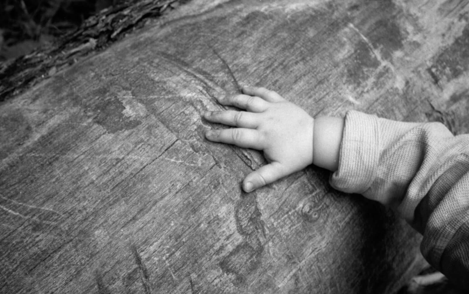 main d'un bébé sur un tronc d'arbre